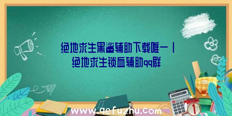 「绝地求生黑鲨辅助下载唯一」|绝地求生锁血辅助qq群